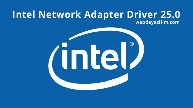 Intel Network Adapter Driver 25.0 indir