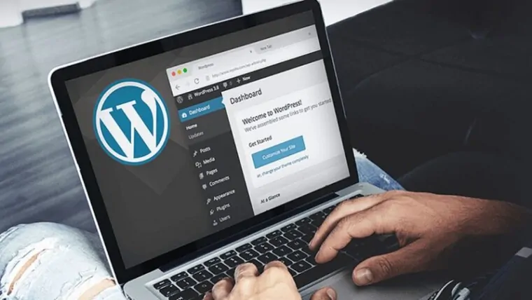 Wordpress Eklentileri Silememe Sorunu Çözümü