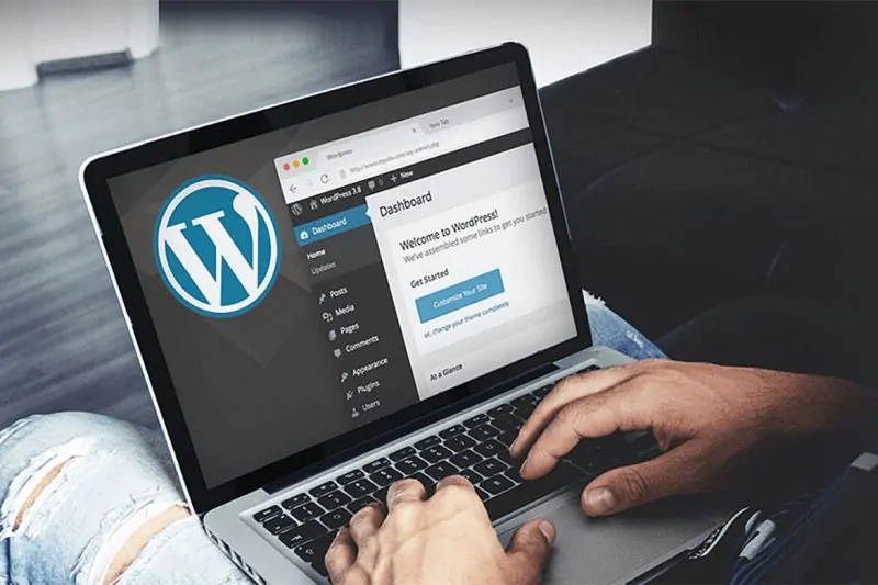 Wordpress Eklentileri Silememe Sorunu Çözümü