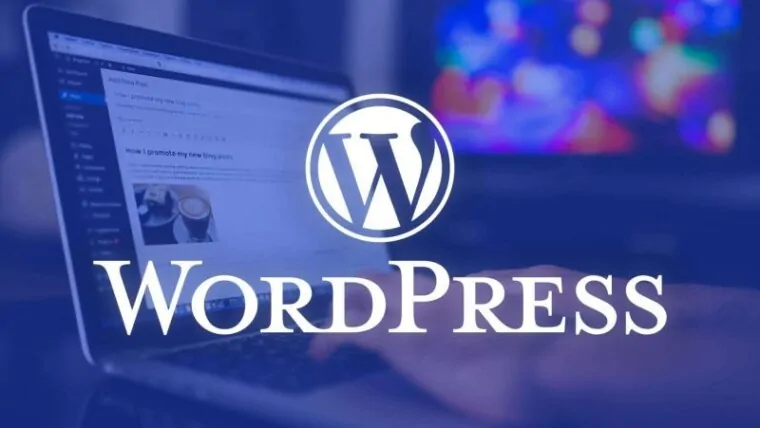 Wordpress Resim Optimizasyonu Nasıl Yapılır?