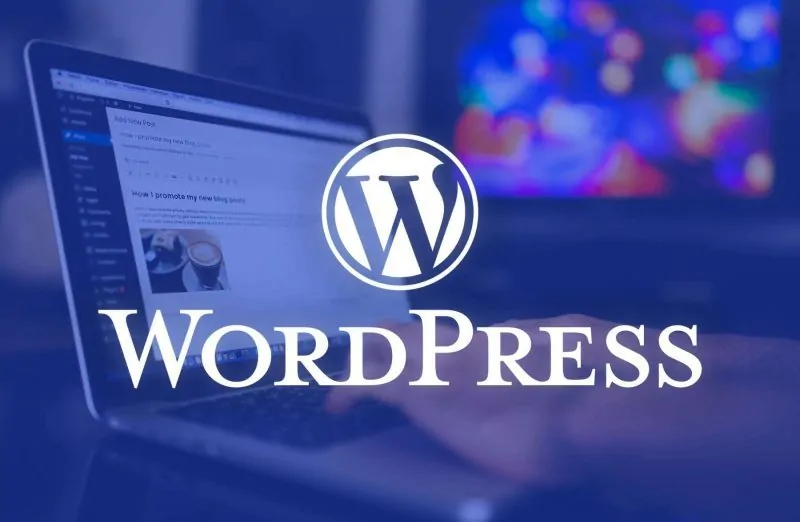 Wordpress Resim Optimizasyonu Nasıl Yapılır?