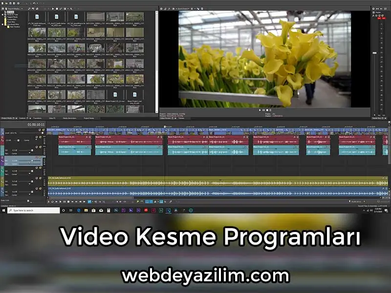 Sony Vegas Video Kesme Programı