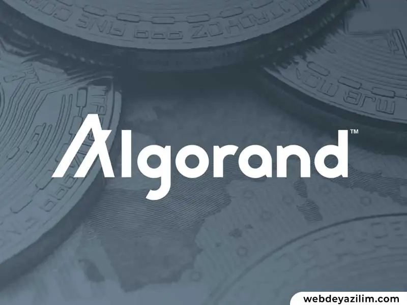 Algo Coin Nedir? Algo Coin Nasıl ve Nereden Alınır?