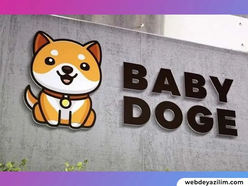 BabyDoge Coin Nedir? Baby Doge Coin Nasıl ve Nereden Alınır?