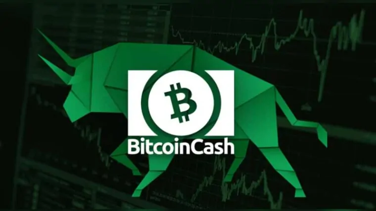 BCH Coin Nedir? Bitcoin Cash Nasıl ve Nereden Alınır?