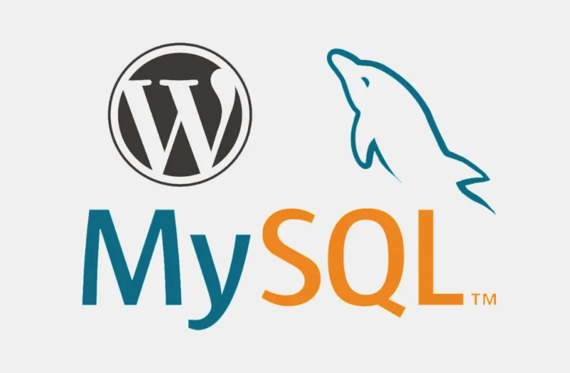 MySQL Optimizasyonu ile Sitenizi Hızlandırın!