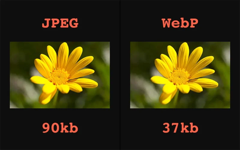 WebP Formatı Dönüştürme Site Hızlandırma SEO