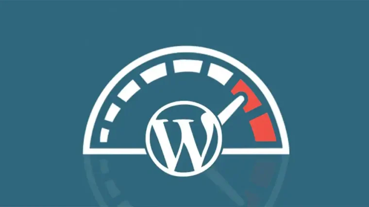 WordPress Hız Optimizasyon adı altında verilen hizmetler