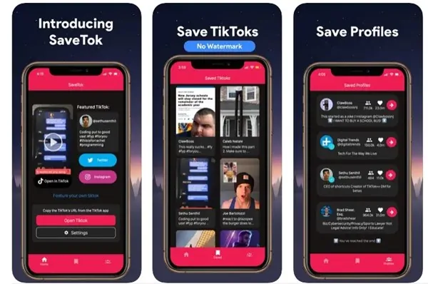 SaveTok TikTok video indirme programı