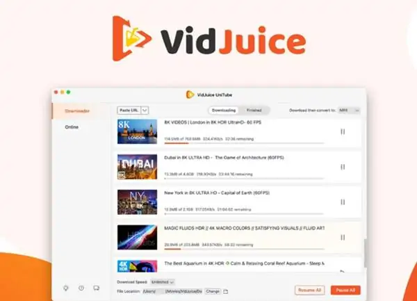 VidJuice Windows 11 Video İndirme Programı