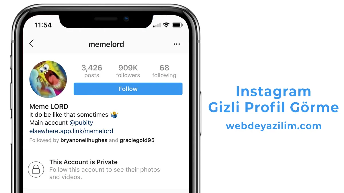 Instagram gizli hesap bakma yöntemi