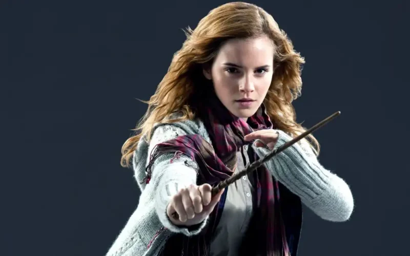 En Sevilen Harry Potter Karakterleri: Hermione Granger