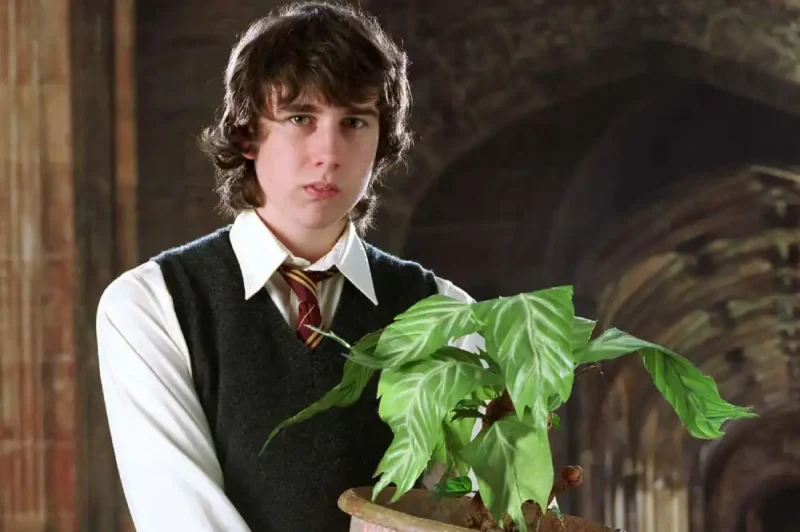 En Sevilen Harry Potter Karakterleri: Neville Longbottom