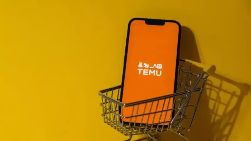 TEMU, Türkiye’de Operasyon Ofisi Kuruyor: Yerel Depo ile Hızlı Teslimat Dönemi Başlıyor