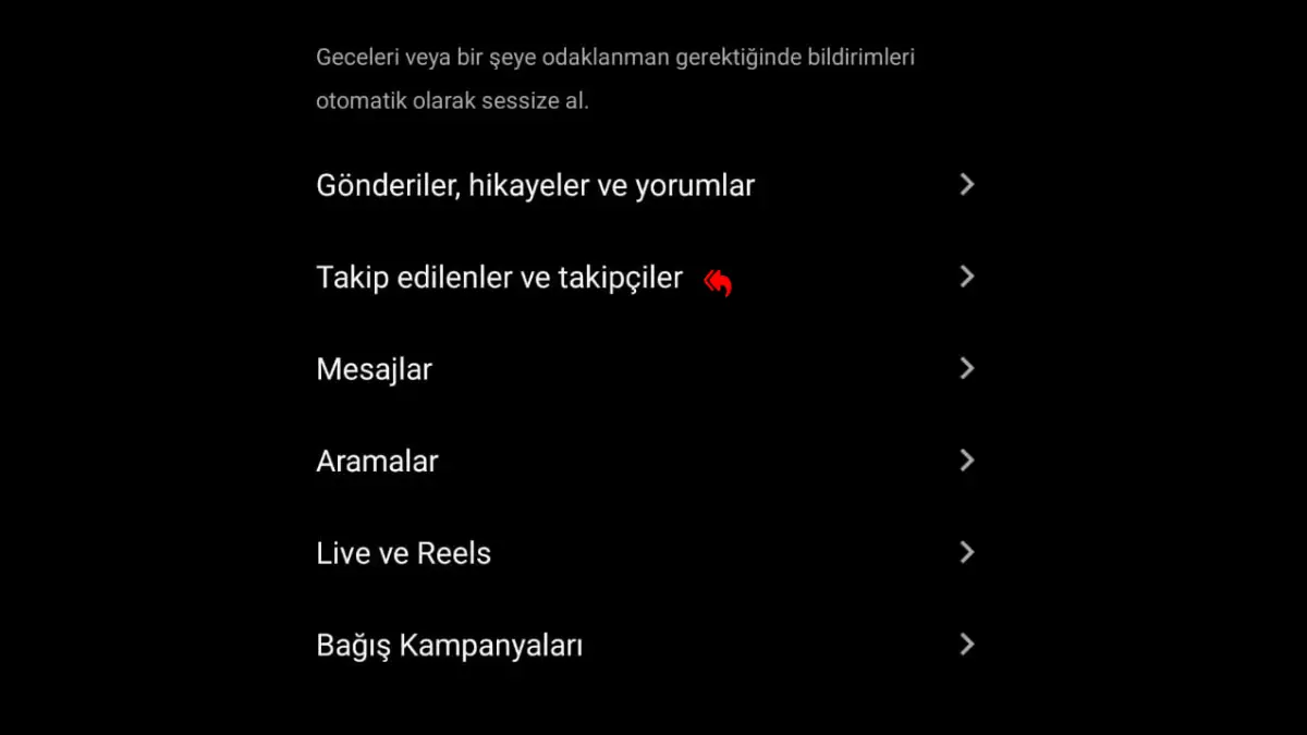 Instagram Takip İsteği Gönderdiklerim Nasıl Görülür?