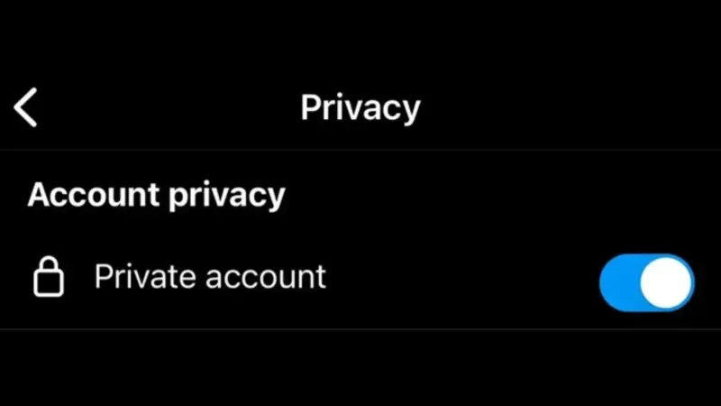 Instagram Priv İsimleri En Popüler Öneriler
