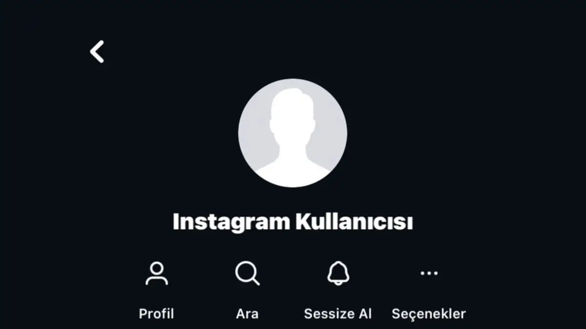 Instagram Kullanıcısı Ne Demek? Anlamı ve Çözümü
